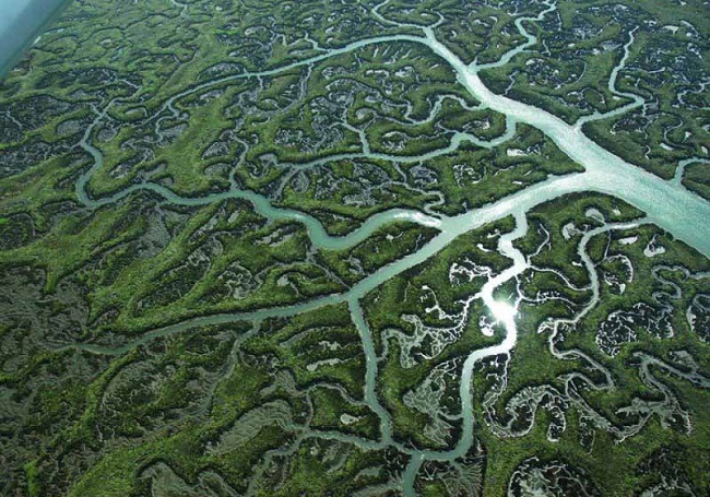 Doñana Nemzeti Park - Európa legnagyobb lápvidéke