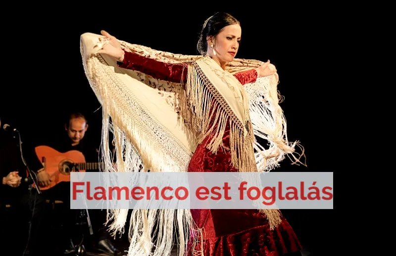 Flamenco táncosnő és gitáros fellépés közben Barcelonában